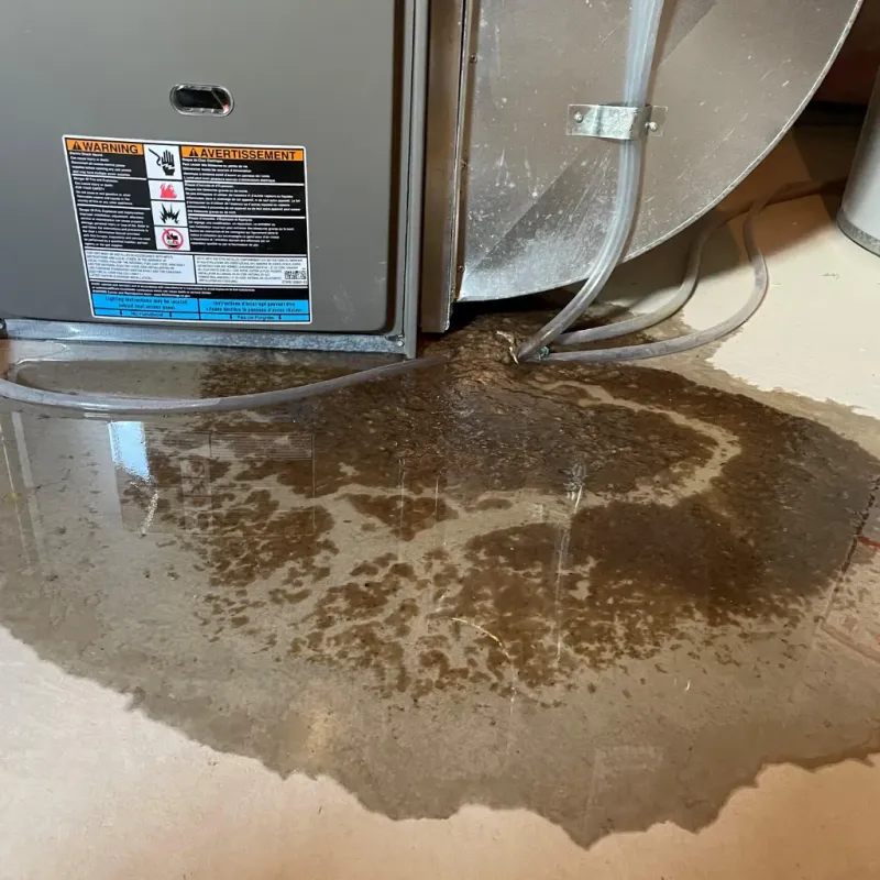 Appliance Leak Cleanup in Schoolcraft County, MI